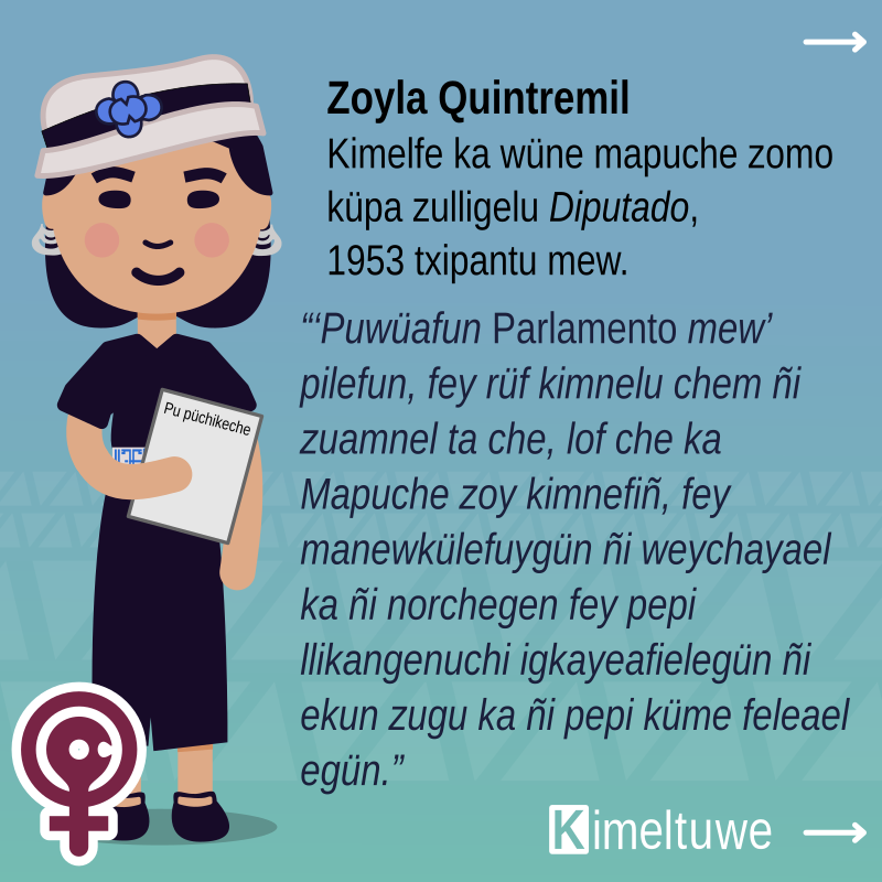 kimeltuwe's tweet photo. Fachiantü Pu Zomo Weychafe ñi antü mu, küpa nentupaiñ  tüfachi azentun tukulpayam ta Zoyla Kintxemil, taiñ lamgen Kimelfe ka  wünen mapuche zomo küpa zulligelu Diputado. Amulepe taiñ weychan!  Amulepe taiñ mapuzugun!
#FelizDiaDeLaMujer #Marcha8M https://t.co/BpdpwUGNEt