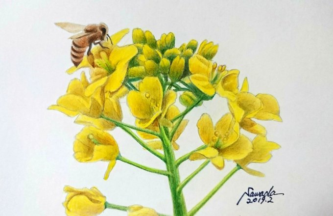 色鉛筆画のtwitterイラスト検索結果 古い順 色鉛筆画のtwitterイラスト検索結果 古い順