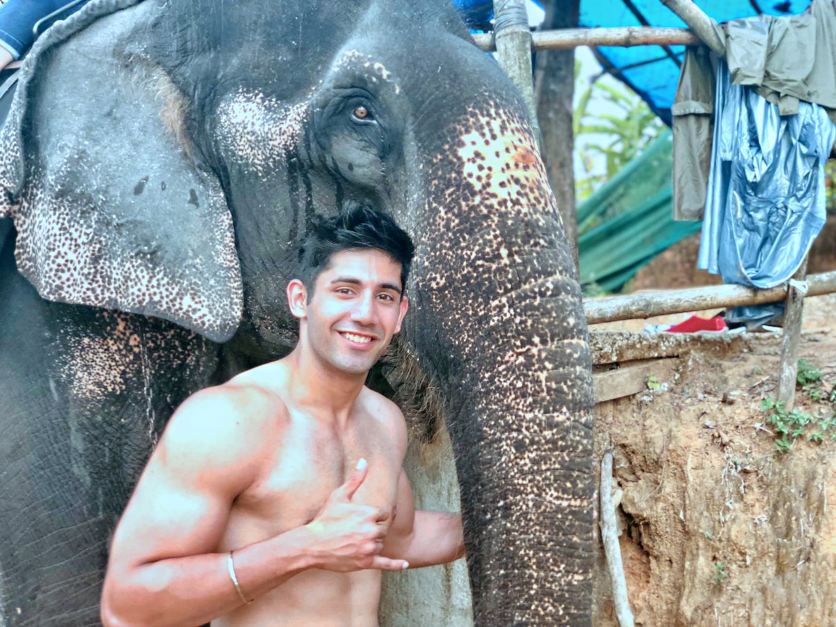 VSood12's tweet photo. Met Laxmi today.
Her hobbies are going for walks, eating and smiling. 
She is lucky to have amazing people taking care of her
Oh she also showered us with lost of love and water! 
#happywomensday https://t.co/W2f998TO3M