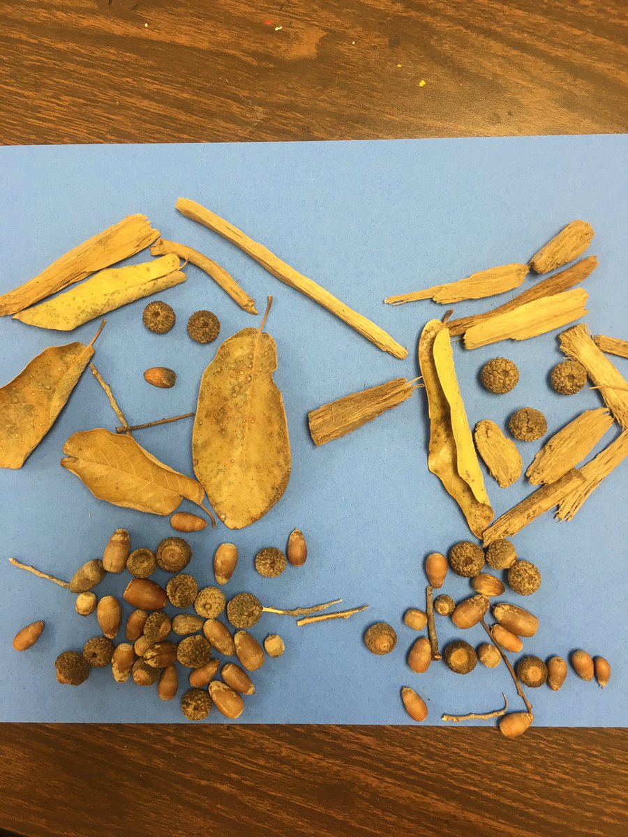 almadeleonrocha's tweet photo. Nature Art with kindergarten @NISD @NISDWanke @NISDFineArts https://t.co/hptBCvzJLK