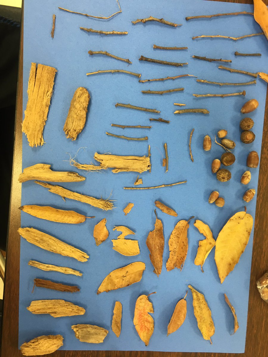 almadeleonrocha's tweet photo. Nature Art with kindergarten @NISD @NISDWanke @NISDFineArts https://t.co/hptBCvzJLK