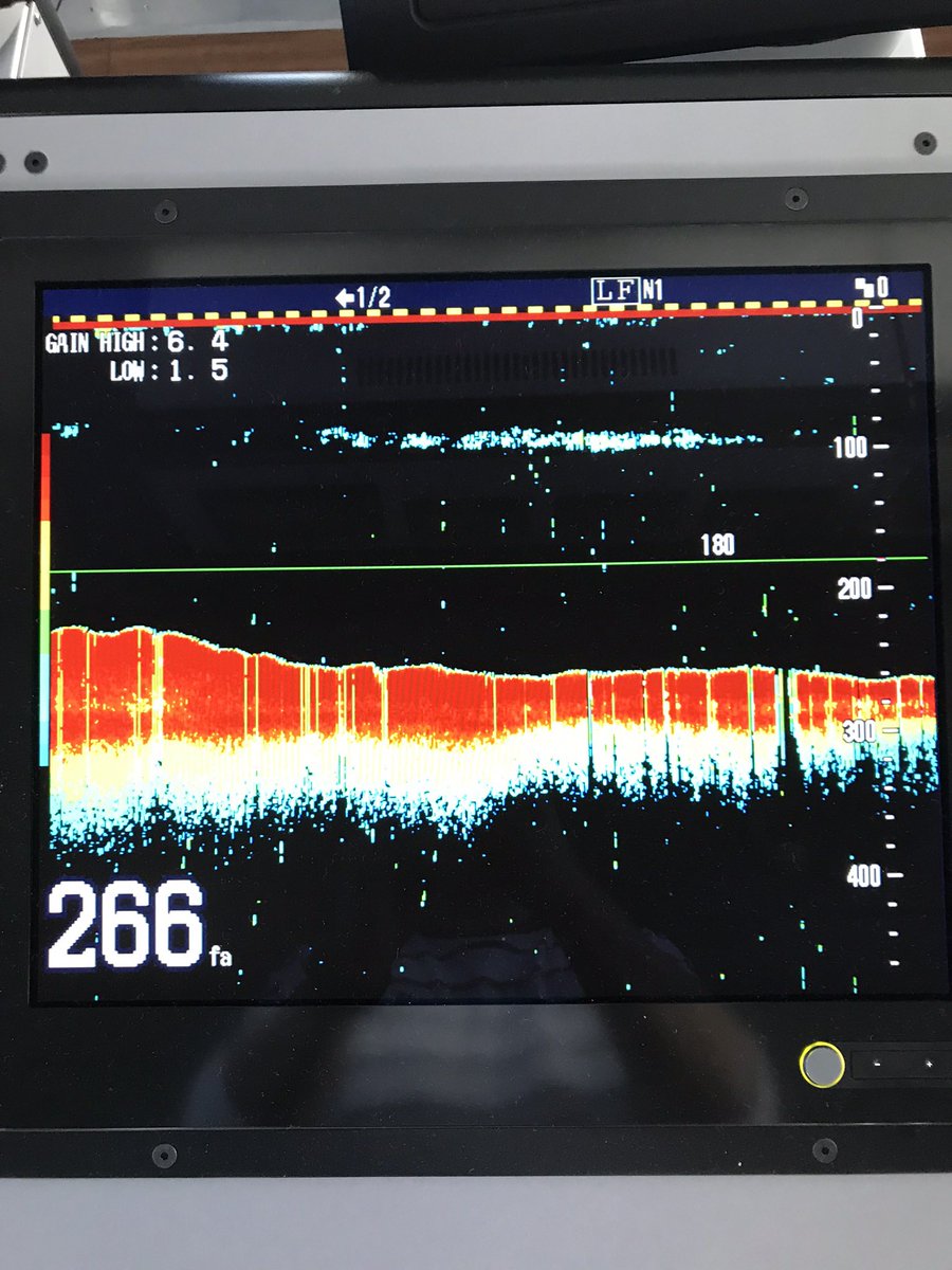 quantuspd379's tweet image. Blue Whiting trip #atlanticocean #fishing #trawler