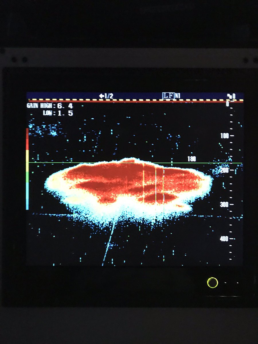 quantuspd379's tweet image. Blue Whiting trip #atlanticocean #fishing #trawler