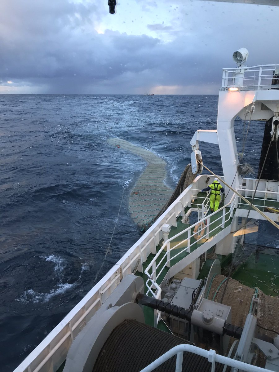 quantuspd379's tweet image. Blue Whiting trip #atlanticocean #fishing #trawler