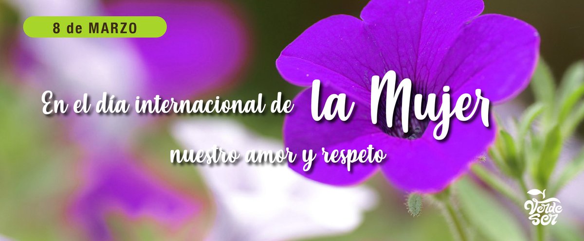 verdeserok's tweet photo. ¡En este día celebramos su lucha! ¡Nuestro respeto y amor a todas las mujeres! ♀️👐🏻💜
#VerdeSer #TuTiendaNatural #AlimentacionNatural #DiaDeLaMujer #DiaInternacionalDeLaMujer #Mujeres #WomensDay #Woman https://t.co/Yd9bBlwf38