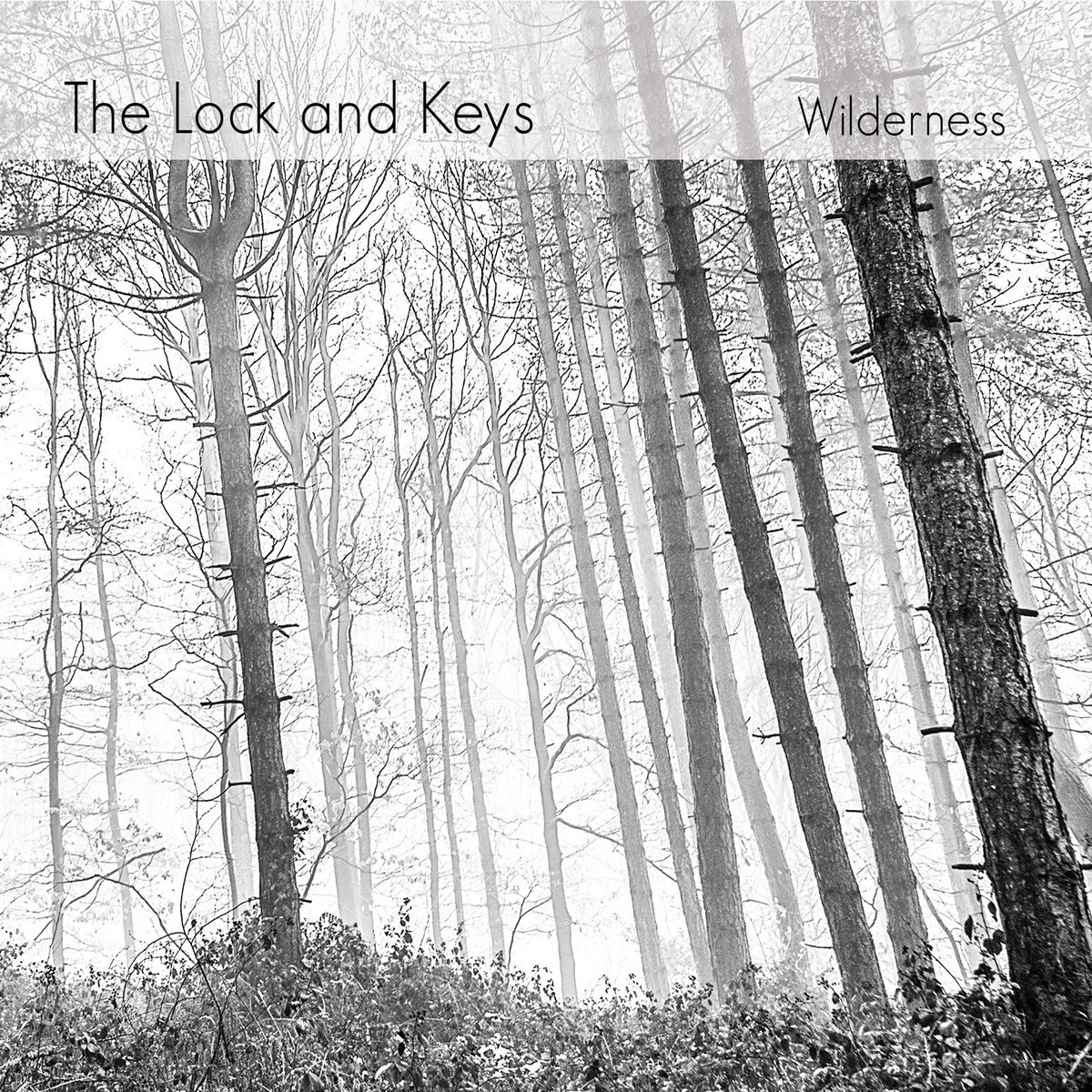 Colin Clark tweet media