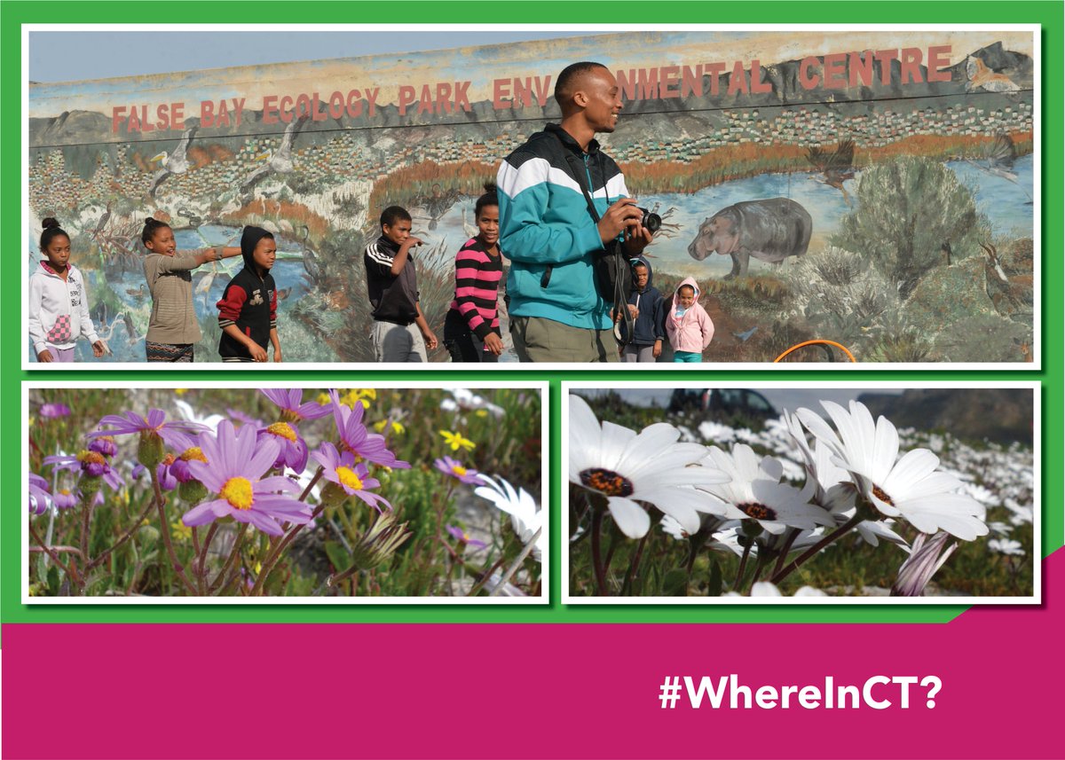 CityofCT's tweet photo. I am a major green lung within the city. My biggest bragging right is being amongst the top five bird watching areas in Southern Africa. #WhereInCT am I? https://t.co/zBw3Od0QXz