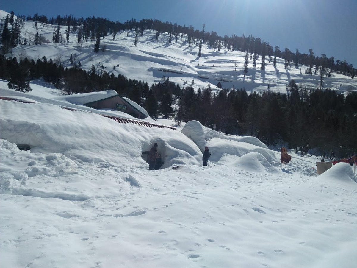 Himachal Tourism tweet media