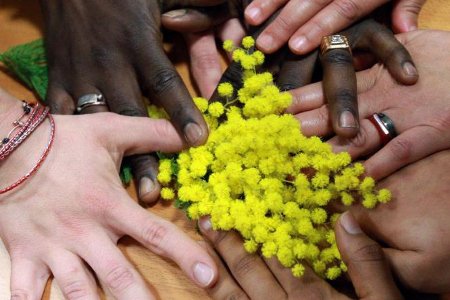 PdPisa's tweet photo. 8 Marzo: "Quando si scrive delle donne bisogna intingere la penna nell'arcobaleno e asciugare la pagina con la polvere delle ali delle farfalle".
Auguri a tutte le donne. https://t.co/m7p6VY94u9