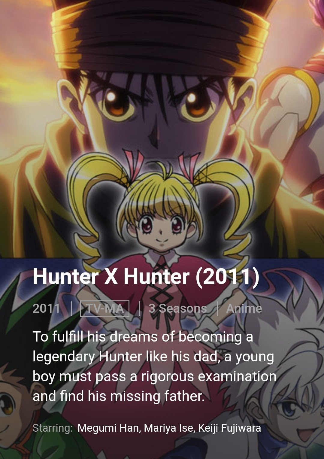 Hunter x Hunter na Netflix