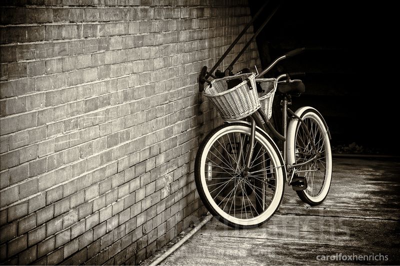photosynthesist's tweet photo. From my blog: Vintage Bicycles – Revisiting a Favorite https://t.co/1Eh2gvZIt8 #bicycles #blackandwhite #nostalgic #artpieces #newsletterworthy https://t.co/jpca82s42i