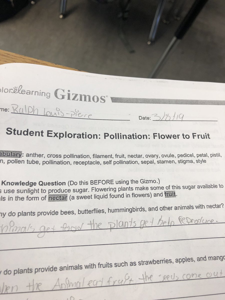r_smith_live's tweet photo. There’s nothing like seeing science come to life before you. So grateful for gizmos!! @BroadmoorSchool @MDCPSTitleI #Gizmo #FlowerPollination #ITeach5th #titleone #Science #ExploreLearning #TechnologyIntegration https://t.co/zspM2HR2b9