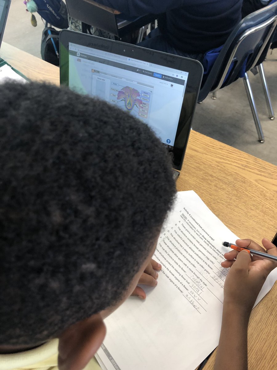 r_smith_live's tweet photo. There’s nothing like seeing science come to life before you. So grateful for gizmos!! @BroadmoorSchool @MDCPSTitleI #Gizmo #FlowerPollination #ITeach5th #titleone #Science #ExploreLearning #TechnologyIntegration https://t.co/zspM2HR2b9