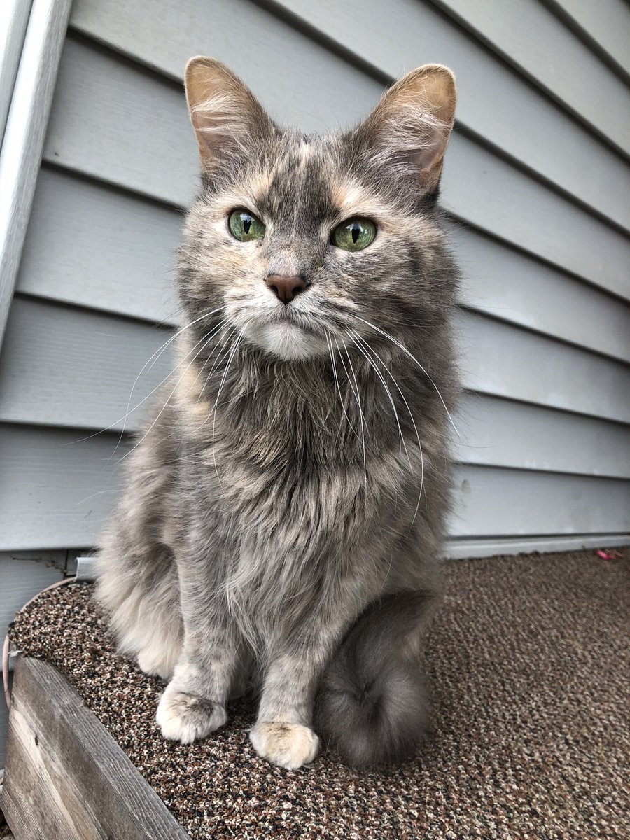 Mads🎂 tweet media