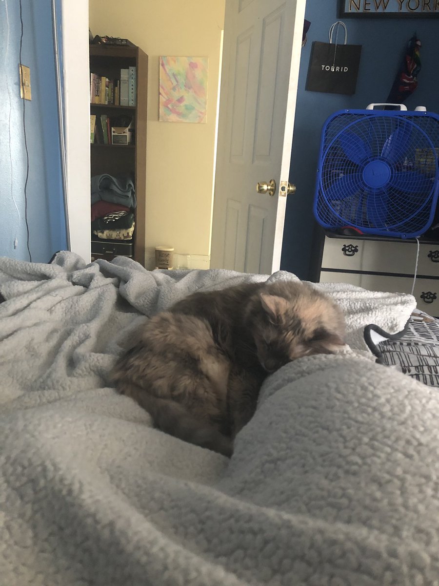 Mads🎂 tweet media