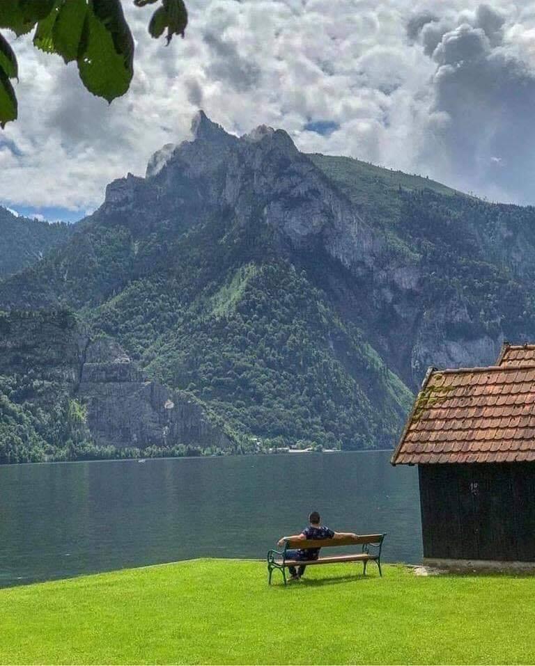 Gunsclaxel's tweet image. ¿Sobrevivirías sentarte 30 minutos ahí sin tu celular? 😮🌲