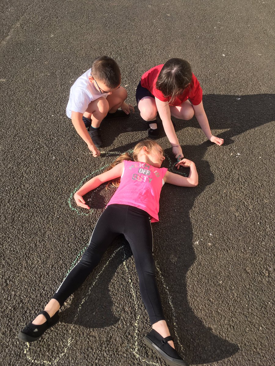 MissShevlinTPS's tweet photo. Drawing life size humans showing skeletons and organs https://t.co/7TNepsN7kR