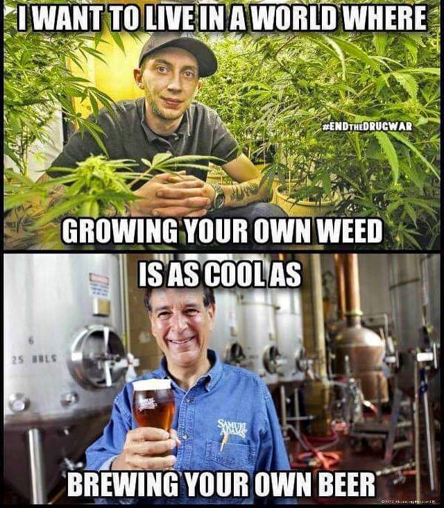 j_violi's tweet photo. #growyourown @snoopdemidogg @cannajournal420 @cannaciety @InspctorChronic @cannaworldsite @therealTR4G1C @vermonter2015 @Pastabowl2 @42WildFlowerz @realmedicineMI @LegalizeitLala @Hippie_of_Love @Cogitatorium @FinallyInspired @ManGenetics @Highgirl3434 @_jena4n @cannabis_league https://t.co/FjUjI0q0oc