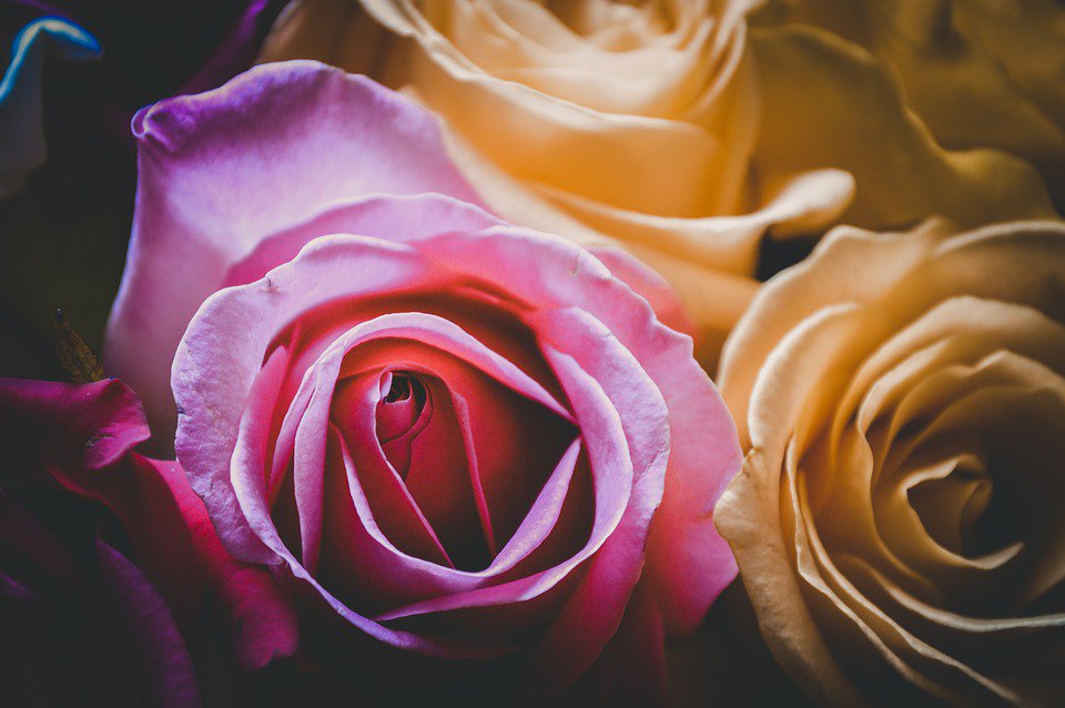 We all deserve a colorful and happy day😀😀🙏🙏😀