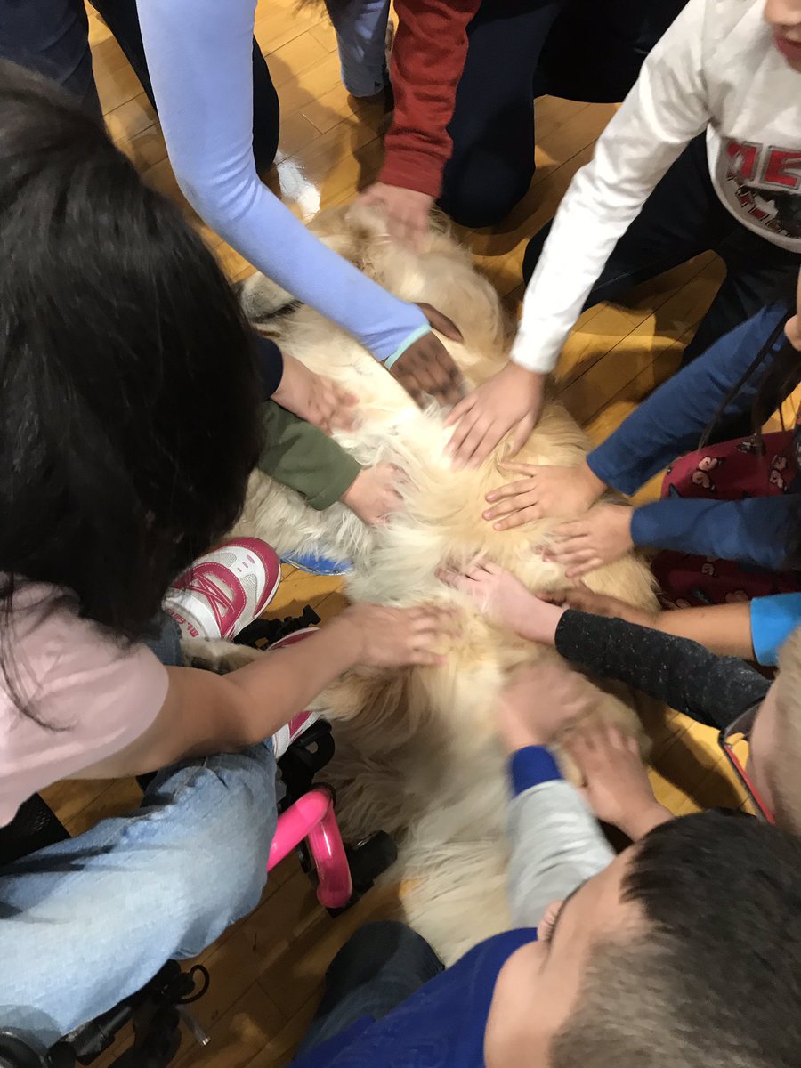 How many friends can pet Marley at one time?  11!! #asd4all