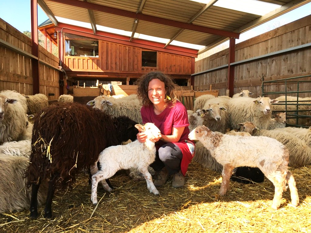 Mujeres rurales, una historia particular dlvr.it/R0SCVZ