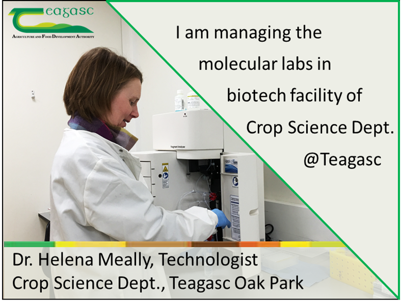 DRaj_Rathore's tweet photo. Since 1910, #InternationalWomensDay is celebrated on March 8, marking this occasion and galvanising #BalanceforBetter into action, @teagasc Crop Science departmental seminar series this month is delivered by 4 remarkable #WomenInScience in Oak Park. https://t.co/ZdSf67EhSr