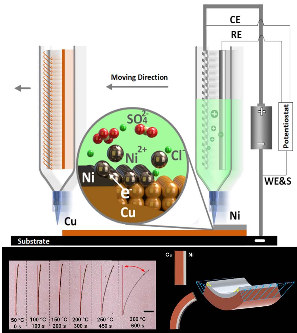 ICBillyWu's tweet photo. Electrochemical 3D printing has the potential to be a low cost way of creating complex 3D metal structures. Our latest paper shows how #multimetal #electrochemical #3Dprinting can be used to create #4Dstructures. #scientificreports @SciReports
  https://t.co/tfN712dxOY https://t.co/U0Ncb3PvyL