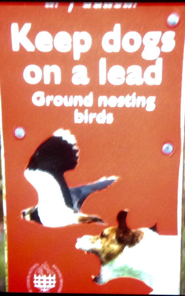 PoplarsPenny's tweet image. For all those dog lovers out there just a warning when out in the country 
Please follow the #countryCode