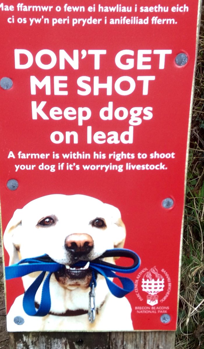 PoplarsPenny's tweet image. For all those dog lovers out there just a warning when out in the country 
Please follow the #countryCode