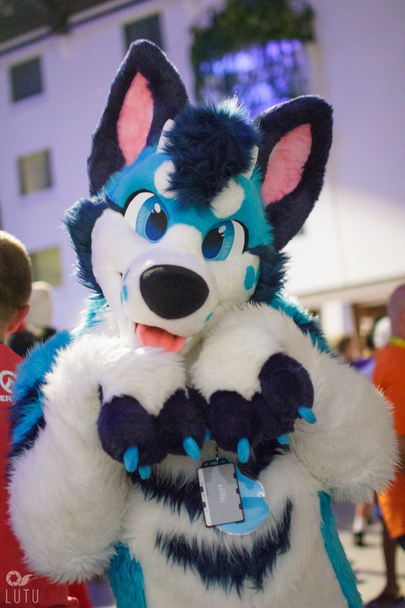 Exi 🔜 CeSFuR, Awoostria tweet media