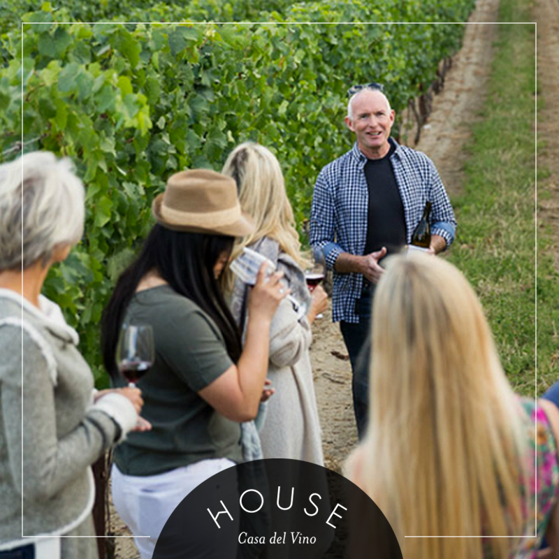 ¡Ven a vivir la experiencia junto al vino! Reserva tu visita en uno de nuestros tours. Agenda tu visita al mail reservas@housecasadelvino.cl o al +32 2754700