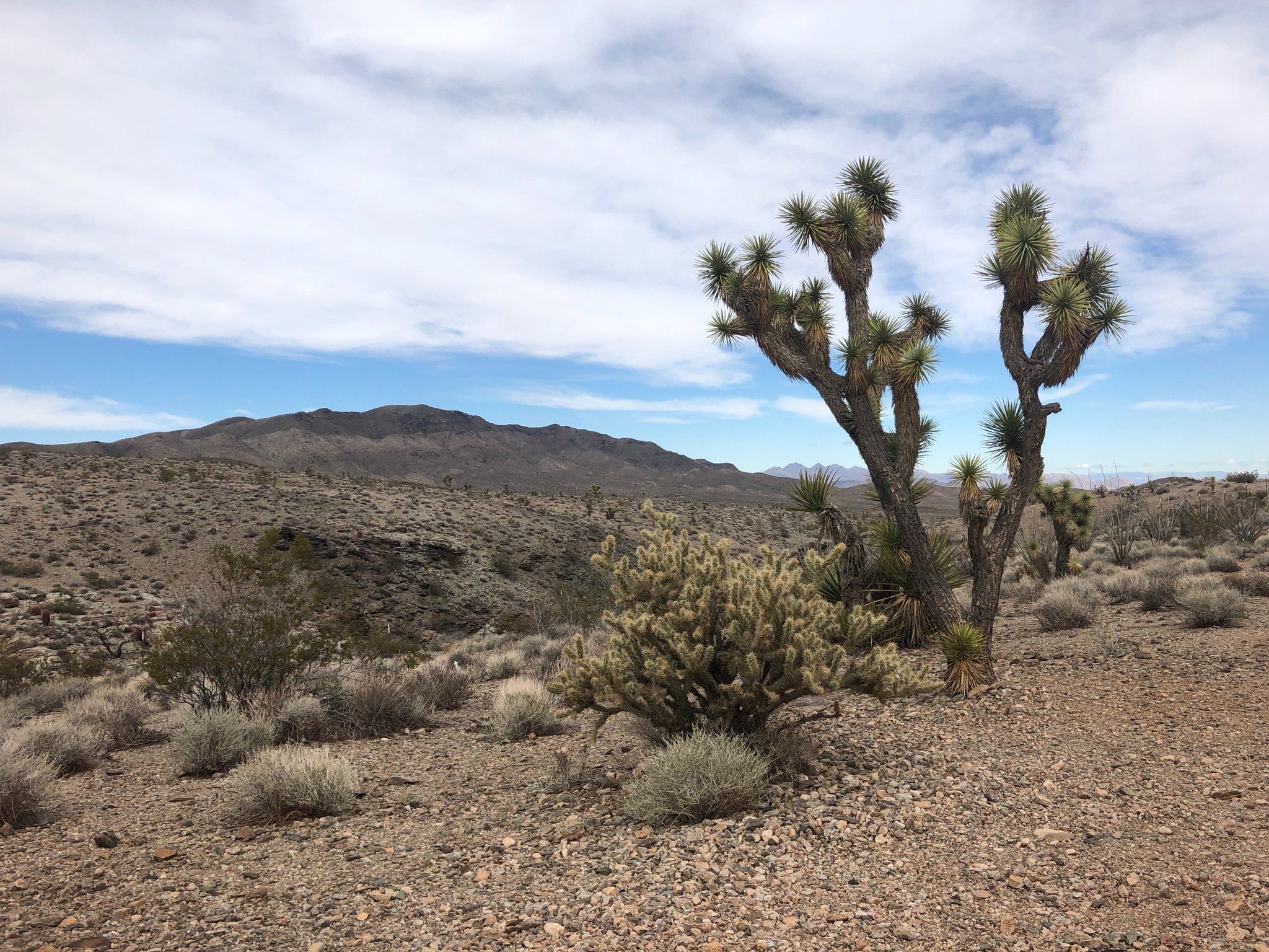 Mike Ridler on Twitter: