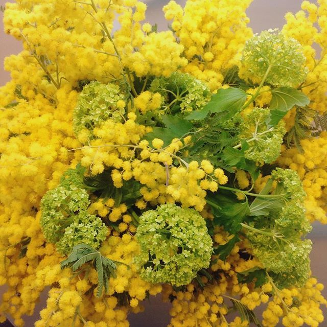Auguri a tutte le donne! 💛
#womansday #mimosa #woman #graphic #design #womanpower #flowers #gift #team #office #love