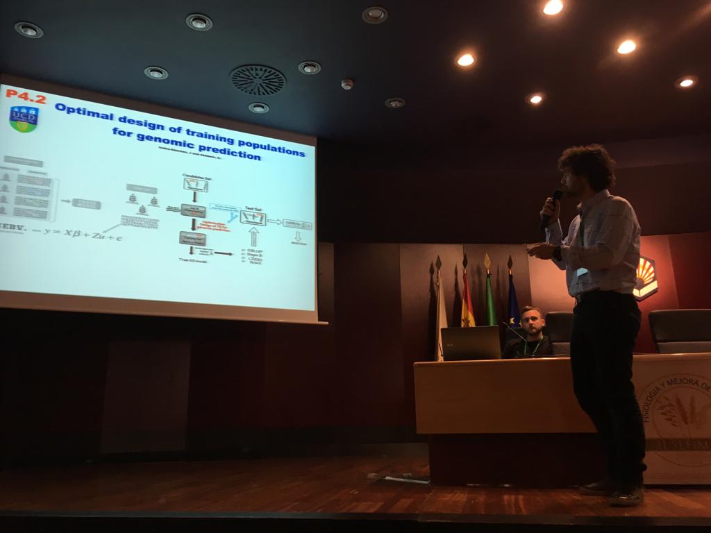 Julio Isidro from <a href="/ucdagfood/">UCD School Ag & Food</a>: Optimal design of training population for genomic prediction. #SEFIMEC2019 #ucdagfood
