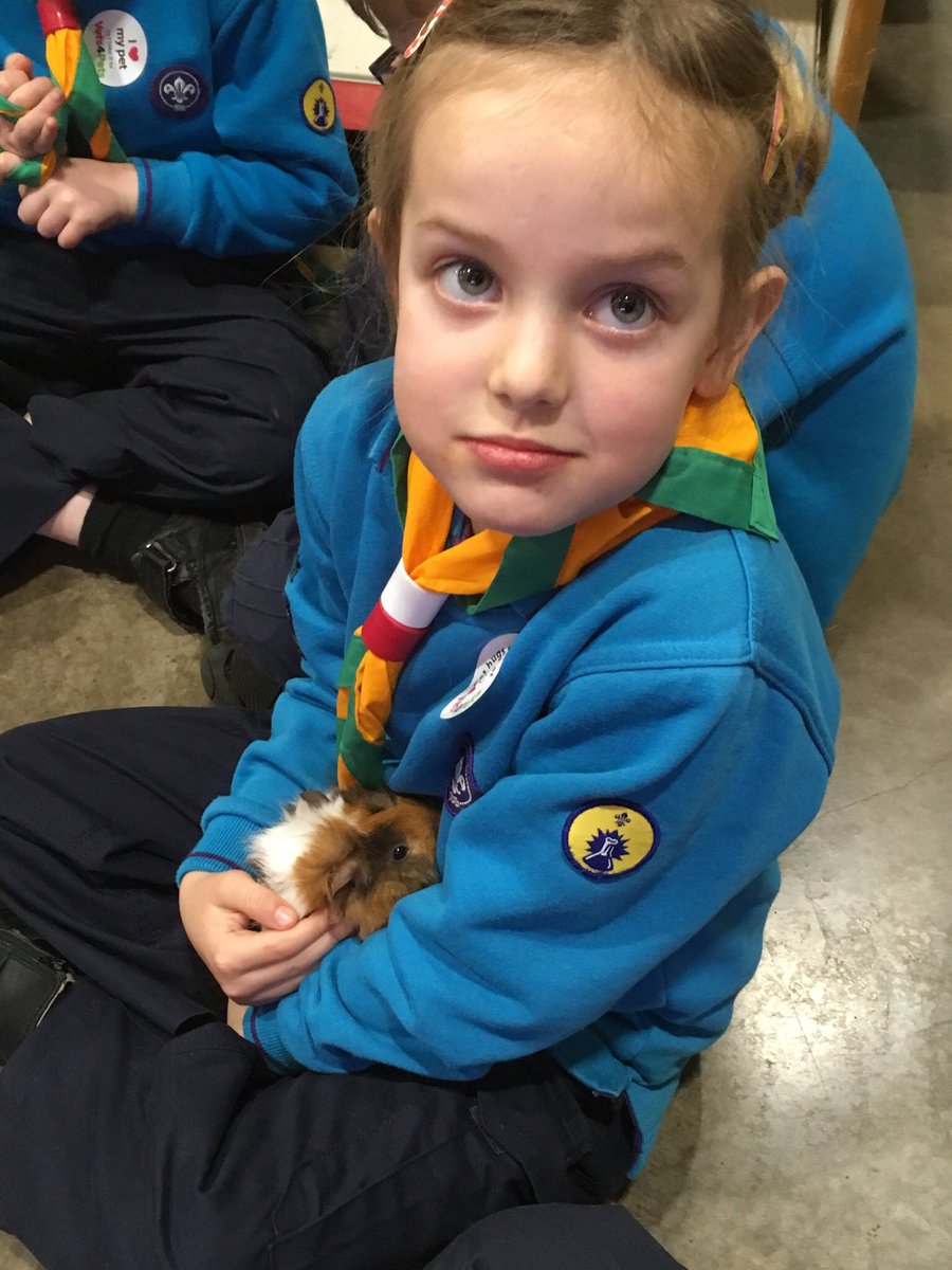Scouts 10th Hereford (Whitecross) tweet media