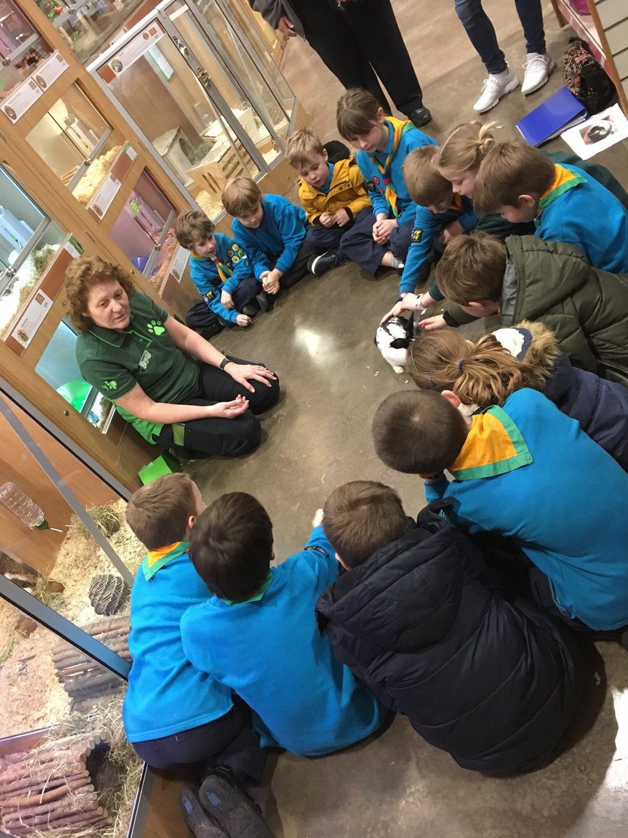 Scouts 10th Hereford (Whitecross) tweet media