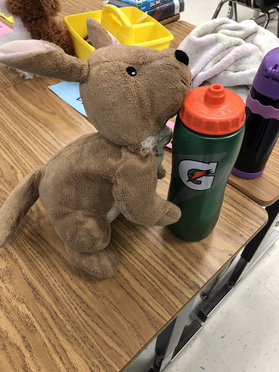 Amber Brzezynski (@a_brzezynski) on Twitter photo A well-deserved Fun Friday reward of bringing in stuffed animals means that I have a thirsty kangaroo and a pig ready to learn in the classroom while the students are at art! <a href="/Tolbert_ES/">Tolbert Elementary</a> #Tolbert19 #TolbertCares A well-deserved Fun Friday reward of bringing in stuffed animals means that I have a thirsty kangaroo and a pig ready to learn in the classroom while the students are at art! <a href="/Tolbert_ES/">Tolbert Elementary</a> #Tolbert19 #TolbertCares