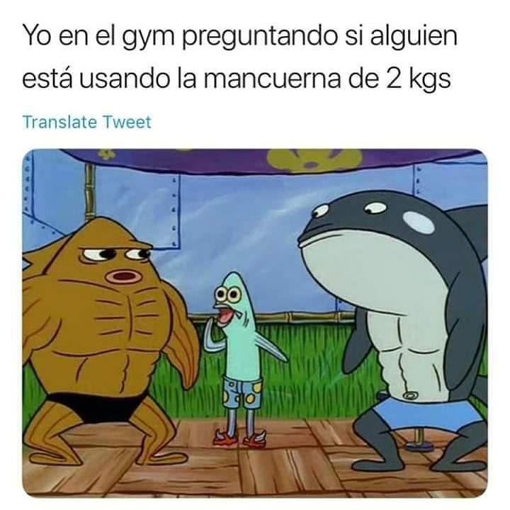 LPDHUMOUR's tweet photo. #Memes  #Risas #gymnastics #FitnessGoals  @LPDHUMOUR 
😁😂😂🤣 https://t.co/UPgmhSmhVR