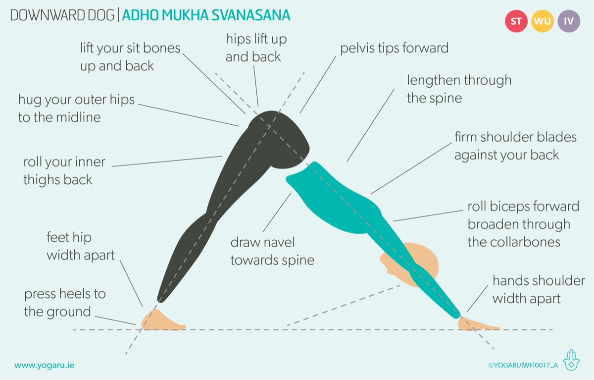 ruthiedelahunty's tweet photo. DOWNWARD DOG - NEW POSE OF THE MONTH WITH @wellfestirl. Have you recently checked your habitual alignment in the pose? Get lots of alignment cues and tips from https://t.co/P6p8rciBnQ. #wellfest2019 #wellfest #yoga #yogapracticetips #yogapractice #yogaeverydamday ##yogasequence https://t.co/Q7x9spM0yP