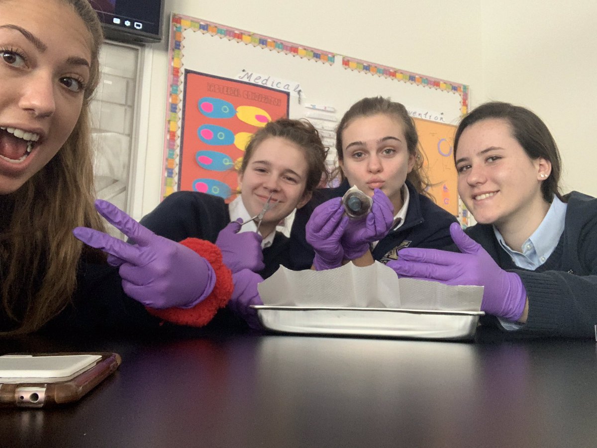 xhsmadelyn's tweet photo. @CallieO_xhs @cmullinxhs @vminnitiXHS @KrishPsych 

Cow eye dissection in biomed https://t.co/5aQ1nxigT8