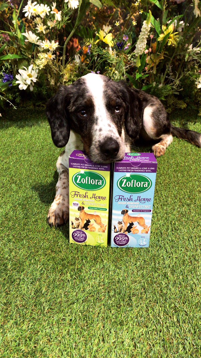 zoflora fresh home green valley