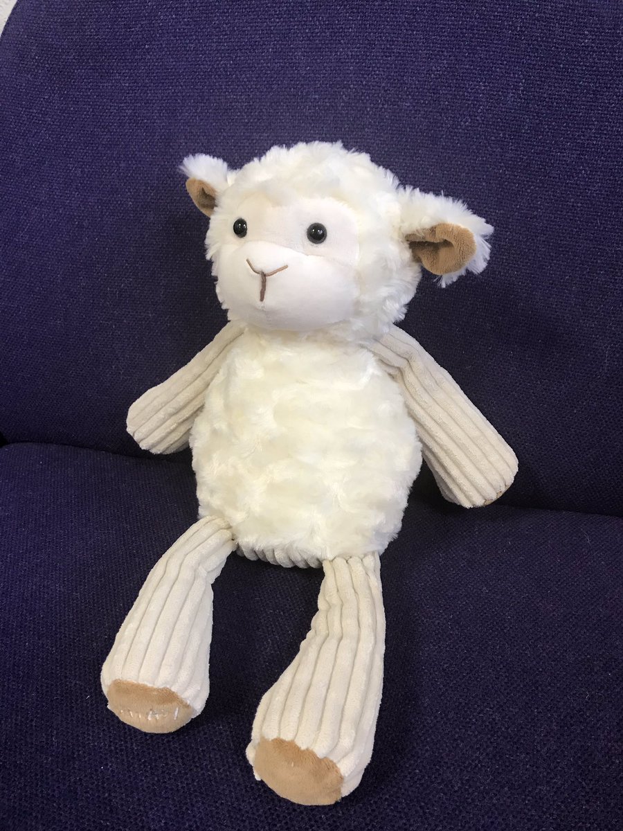 Introducing Lenny our Literacy lamb. In all our classes, listening to us read and share our stories. #readingisfun