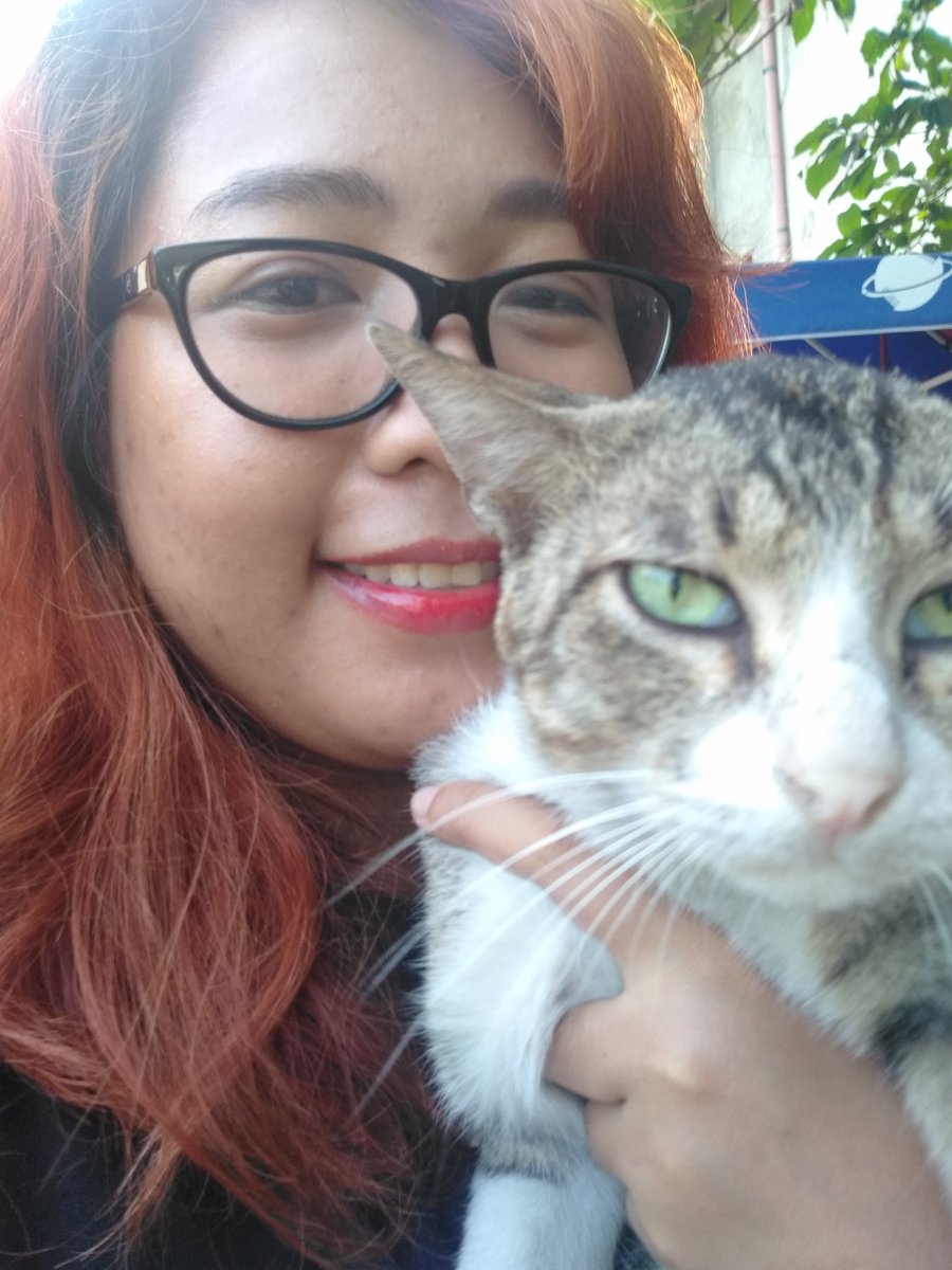 _plsstay's tweet photo. ✨🐱You make stray cats stay🐱✨

(Throwback to 2017-2018 with my favorite office cat Juancho. I miss you and I hope you're okay 🙏🏼💞)

#StaySelcaDay #ssd https://t.co/pB6MDqfSSE