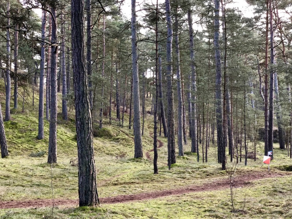 En helg i Skåne annabachman.com/2019/03/08/en-…