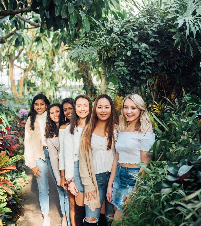 Alpha Phi tweet media