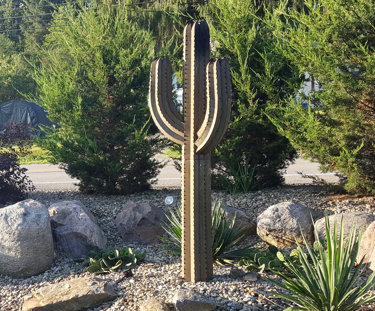 DesertSteel's tweet photo. A customer in Arizona just wrote to tell us that she purchased a 6.5' Saguaro Torch from us to replace a Saguaro in her yard that had died, and her neighbors thought it was real! Our steel sculptures are no-maintenance, and the added bonus - they won't die on you. #desertsteel https://t.co/yfJ76I33vM
