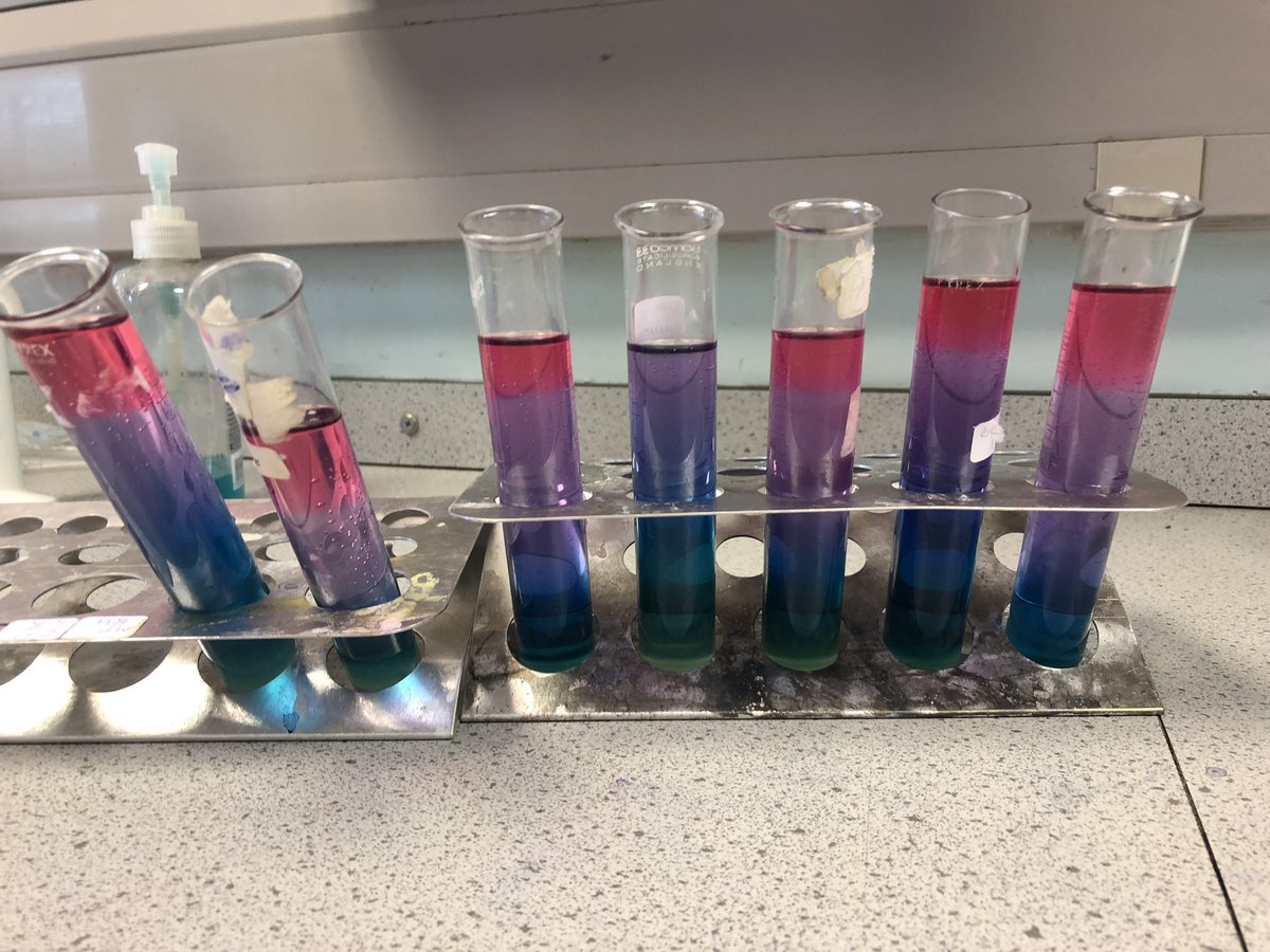 science_bbhs's tweet photo. 2.14 exploring neutralisation. Not bad for a Friday afternoon. #pretty #redcabbageindicator https://t.co/x6VXZtoFPz