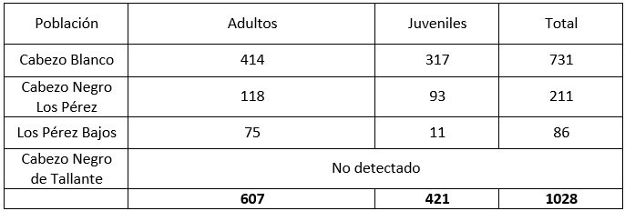 Resumen de los trabajos de seguimiento poblacional y de amenazas de garbancillo de Tallante (Astragalus nitidiflorus) en 2109. Más información en el siguiente enlace: bit.ly/2Hk7ACV