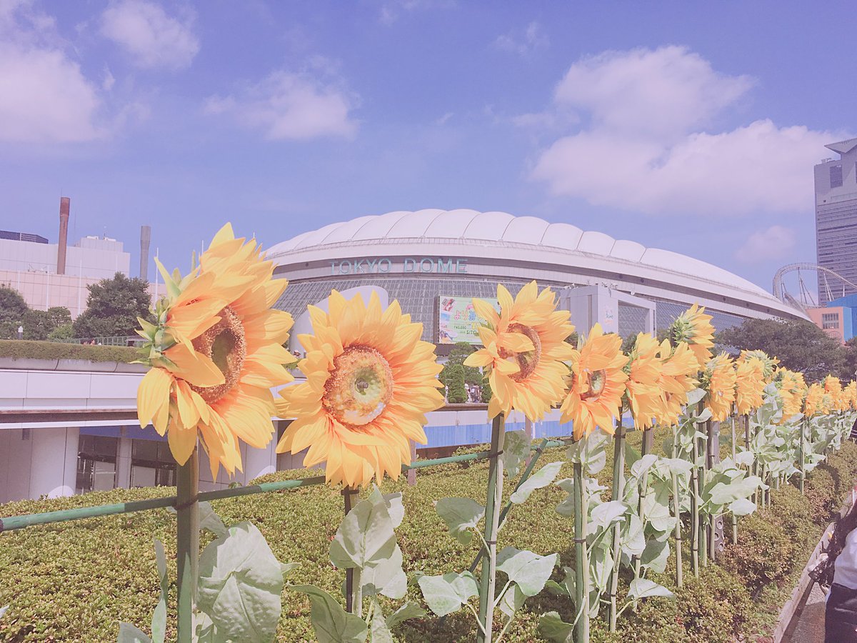 hatakenocamera's tweet photo. 今日の一枚

これからも４人で

#アバンティーズフッカツ 
#アバンティーズおかえりなさい 
#カメラ好きな人と繋がりたい 
#写真好きな人とつながりたい https://t.co/mWaim8h3Ws