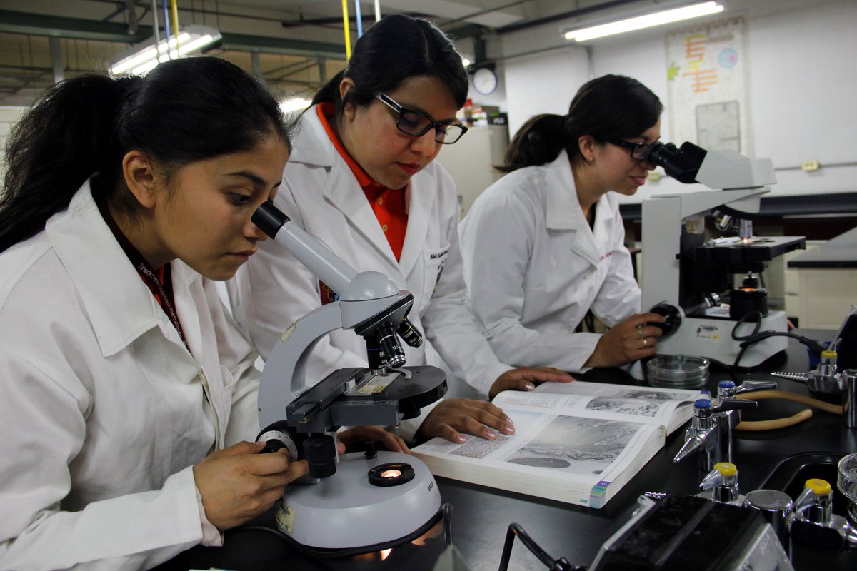 MarioRdriguezC's tweet photo. Reconozco el enorme compromiso de las mujeres politécnicas, quienes día a día ponen en alto el nombre del @IPN_MX, a través de la ciencia, tecnología e innovación. #DíaDeLaMujer #8M #MujeresTransformandoMéxico https://t.co/nAf6RKONx3